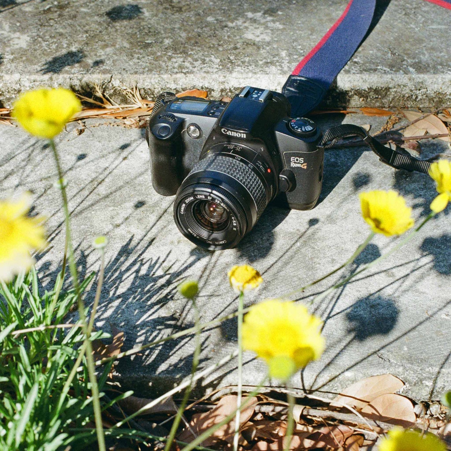 Canon Rebel G - 35mm Film Camera - Vintage Analog SLR - Sidekick Camera